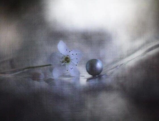 pearl-flower-1-bilogan